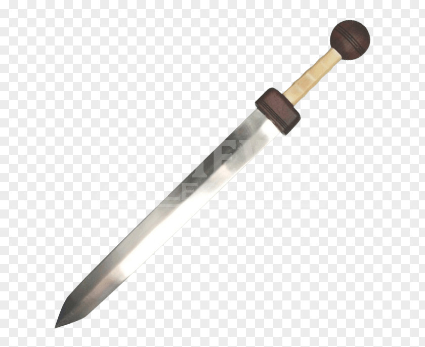 Gladiator Weapon Gladius Longsword Katana PNG