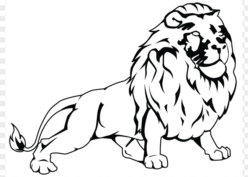 Lion Line Art Puppy Tiger Whiskers Clip PNG