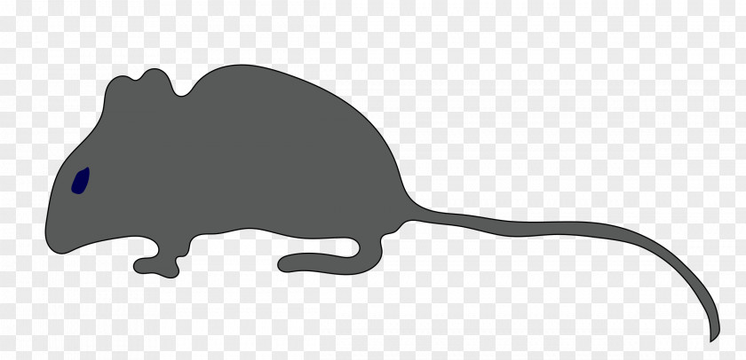 Little Mouse Rat Silhouette Tail Clip Art PNG