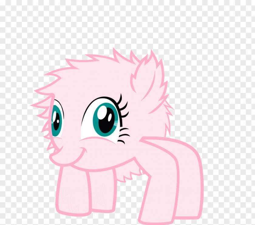 My Little Pony Rainbow Dash Whiskers Kitten PNG
