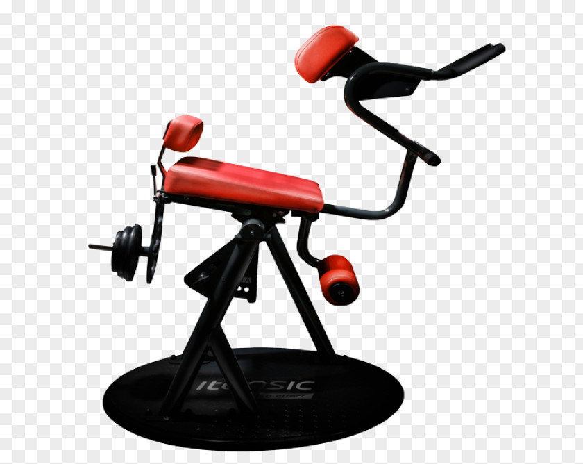 Speed Of Trees Muscle Training Exercise Machine Human Back PNG