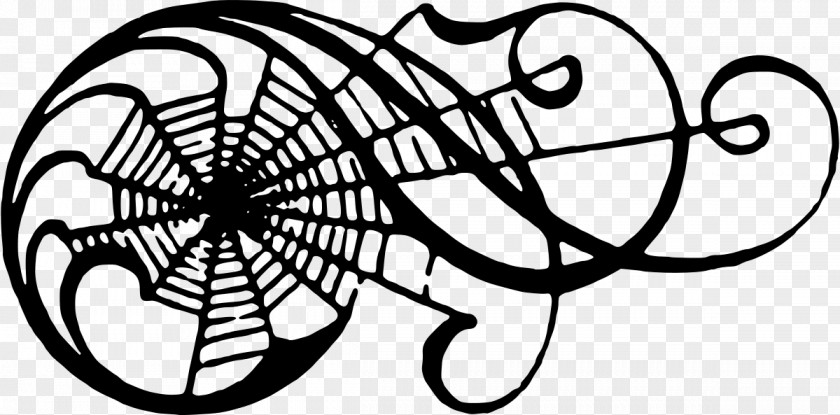 Spider Web Clip Art PNG