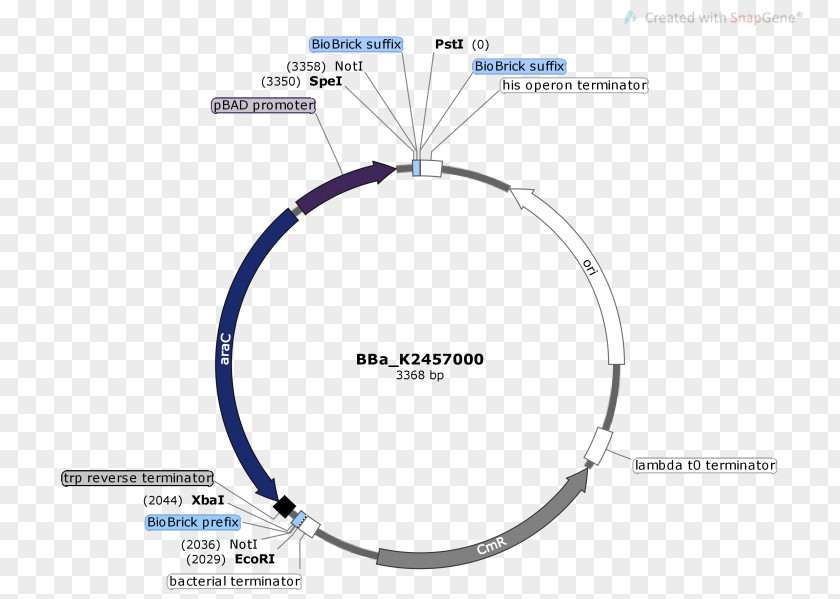 Technology Diagram PNG