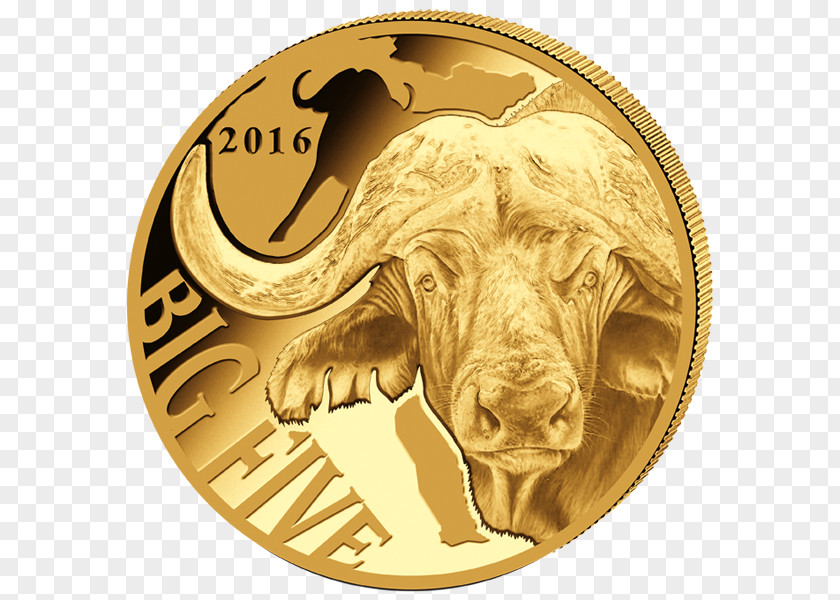 Variation Elephant Gold Coin Big Five Game African Buffalo Leopard PNG
