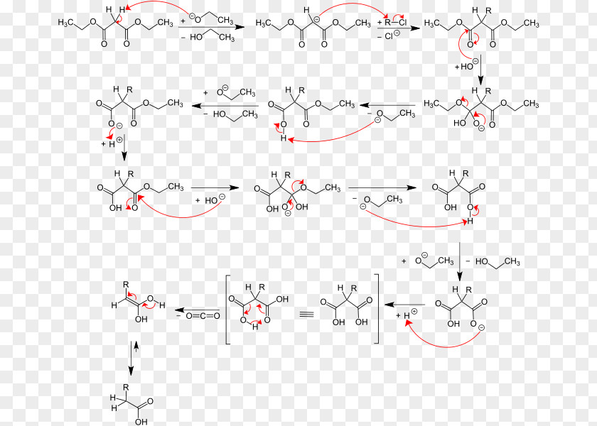 Acetoacetic Ester Synthesis Malonic Acid Chemical Reaction PNG