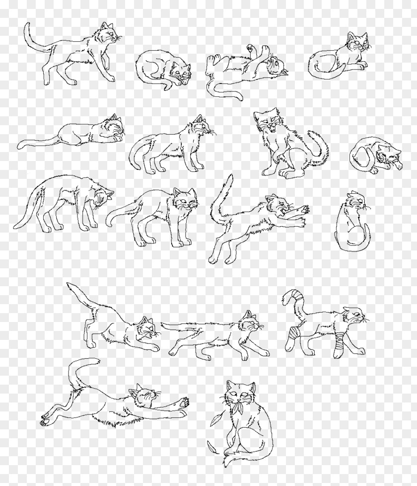 Cat Outline Line Art Carnivora Sketch PNG