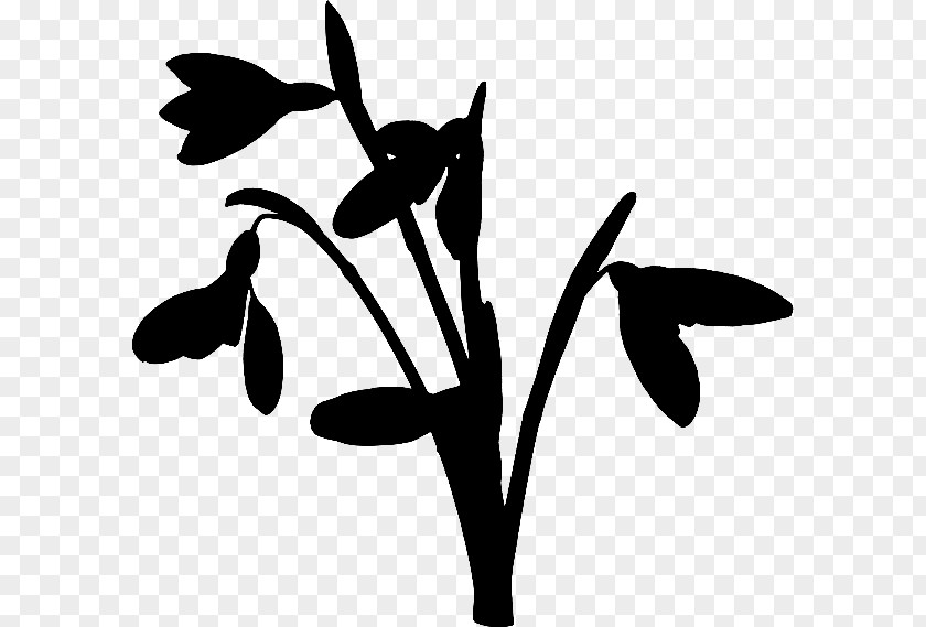 Clip Art Flower Plant Stem Leaf Line PNG