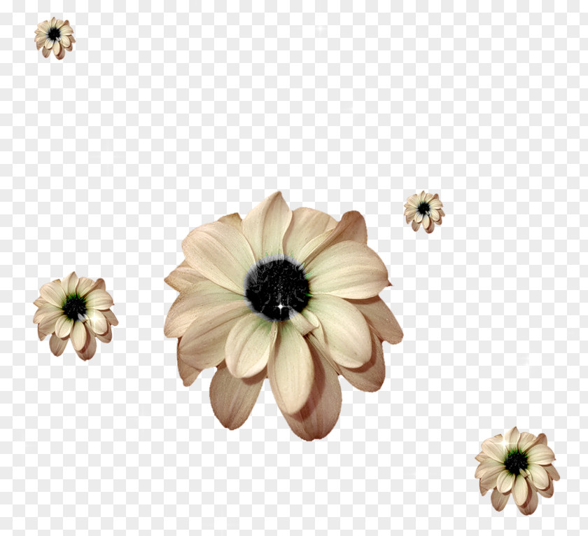 Flower Picture Floral Pattern Clip Art PNG