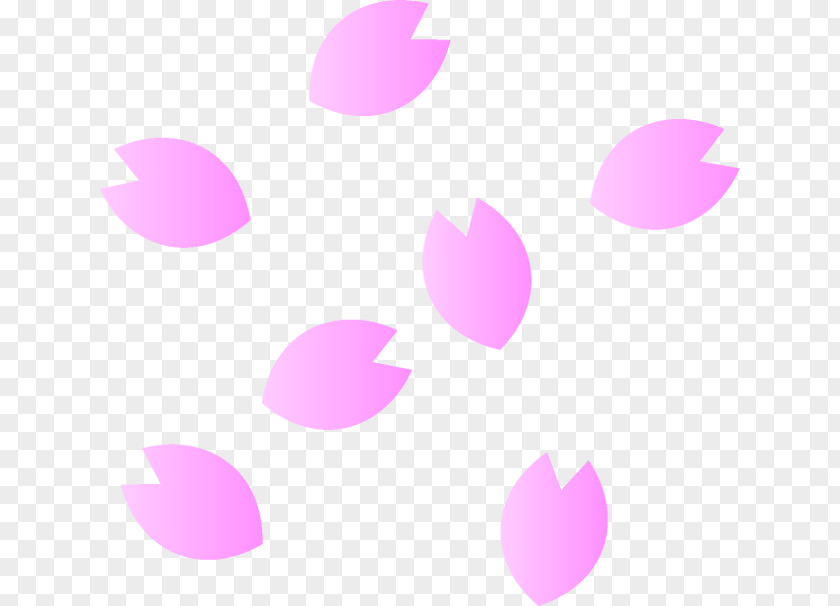 Sakura Flower Petal Clip Art PNG