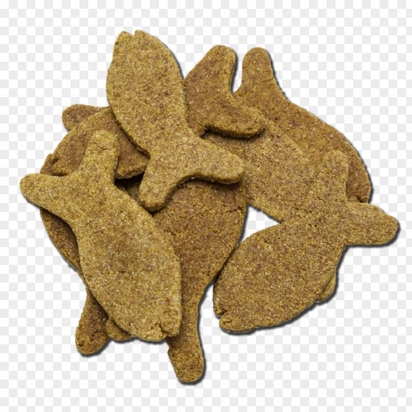 Treats Poi Dog Biscuit Food Fish PNG