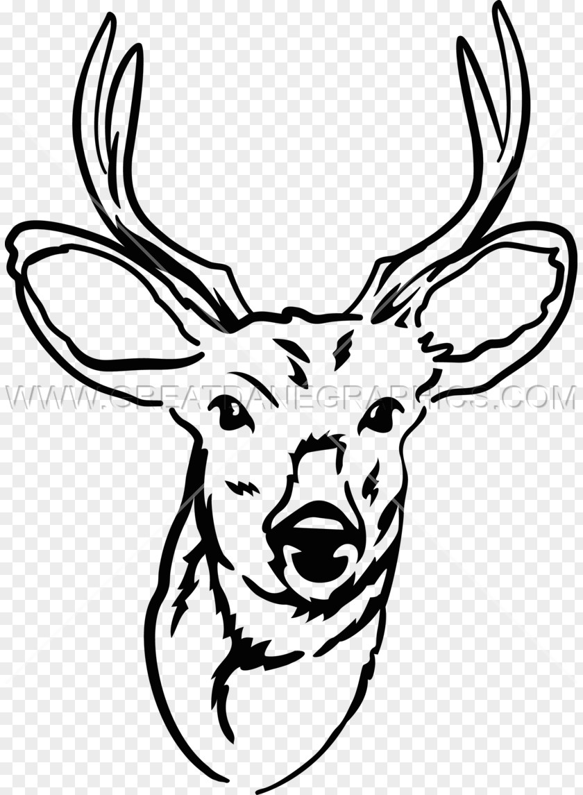 Young Bucks Elk Reindeer Antler Drawing Clip Art PNG