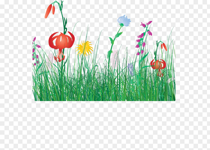 Cartoon Spring Flowers Fresh Grass Flower Clip Art PNG