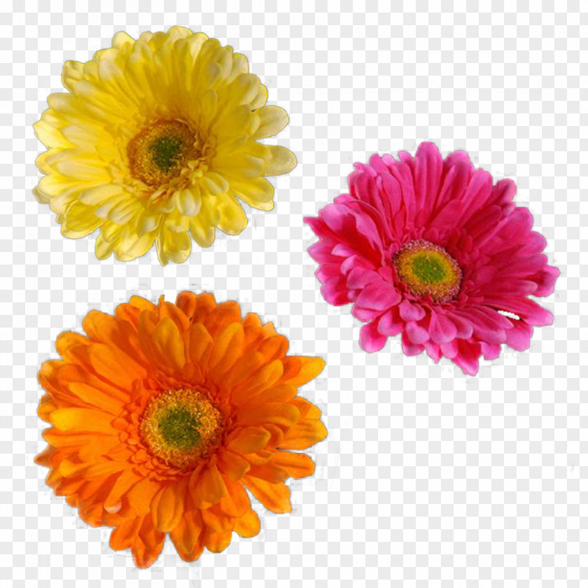 Flower Spring Flores (Flowers) Clip Art PNG