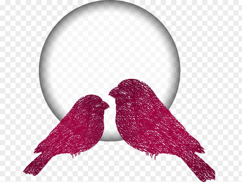 Painted Red Bird White Balls Pattern PNG