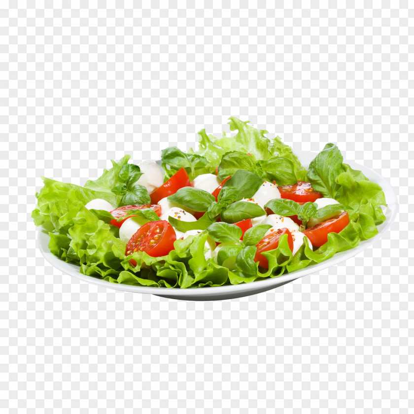Salad Vinaigrette Pizza Vinegar Chicken Meat PNG