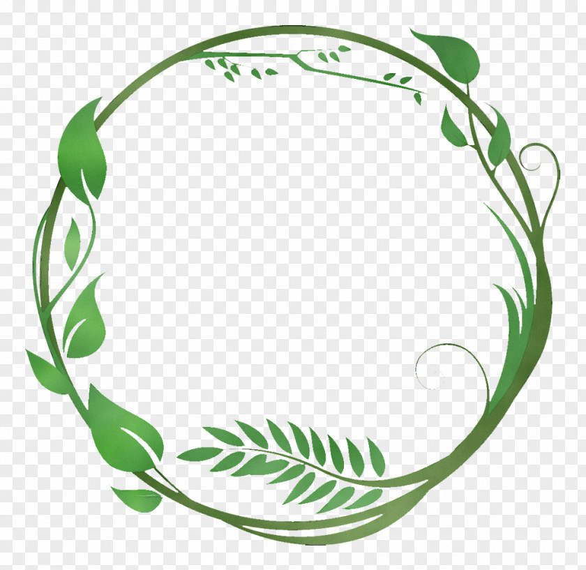 Vascular Plant Green Leaf Clip Art Circle PNG