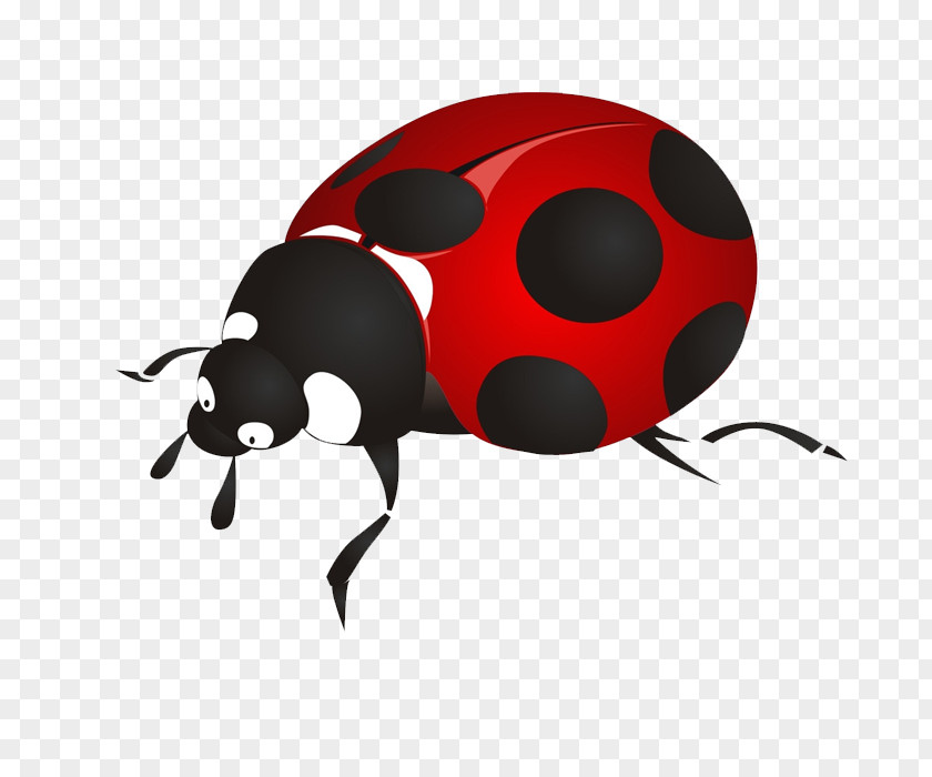Cute Beetle Pattern Ladybird Cartoon PNG