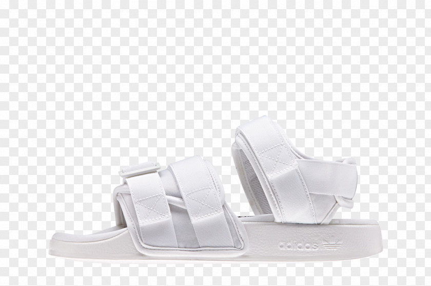 Sandal Shoe PNG