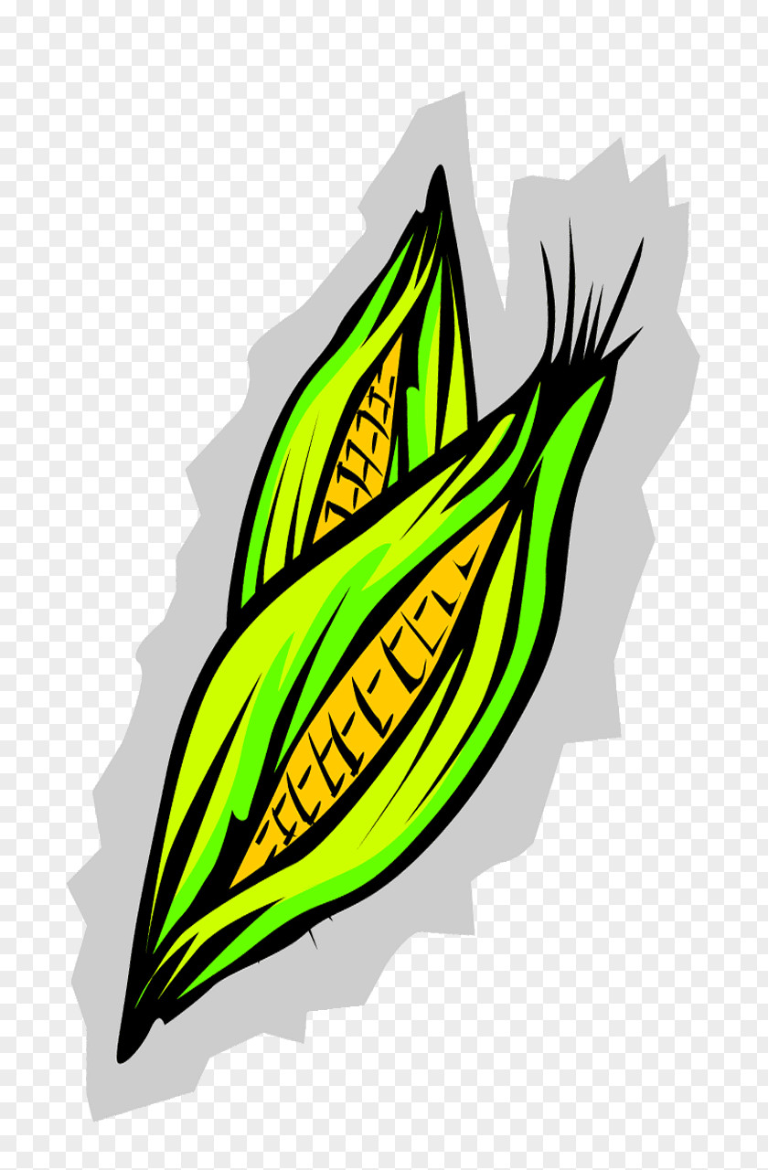 Starchy Foods Clipart Corn On The Cob Maize Clip Art PNG