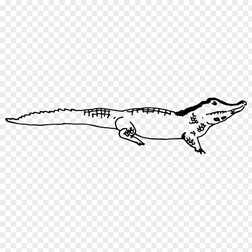 Tyrannosaurus Velociraptor Standing Crocodiles Angle PNG