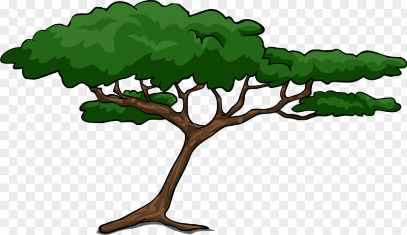 Wattles Tree Clip Art PNG