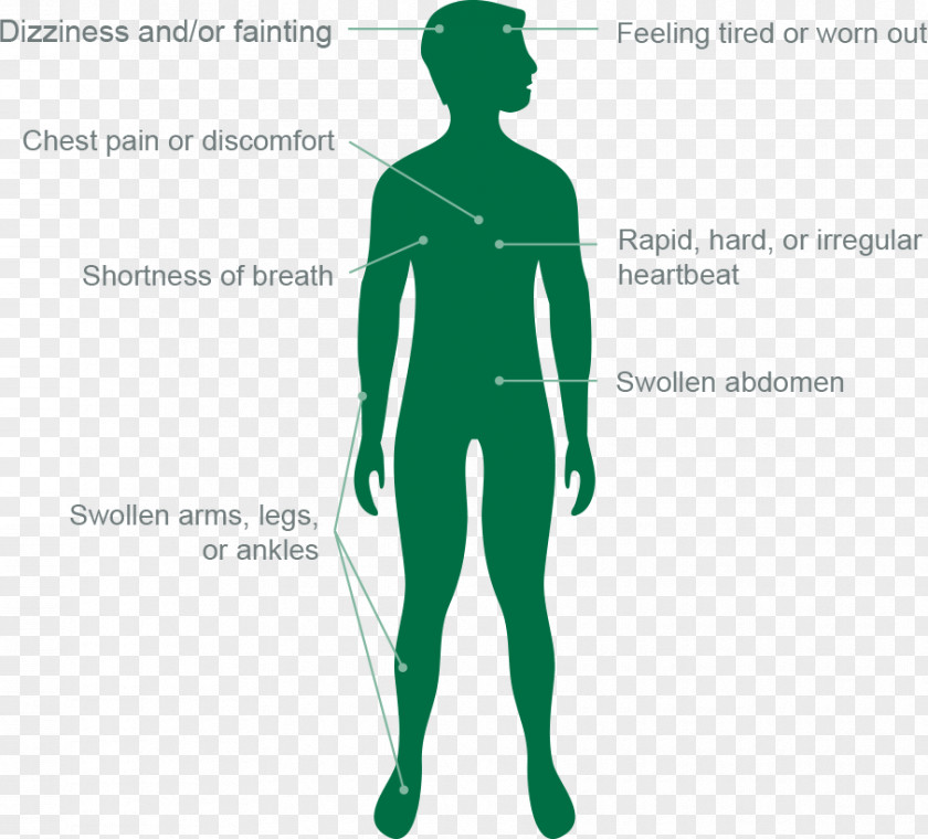 Body Diagram Human Graphic Design Shoulder Arm Pulmonary Hypertension PNG