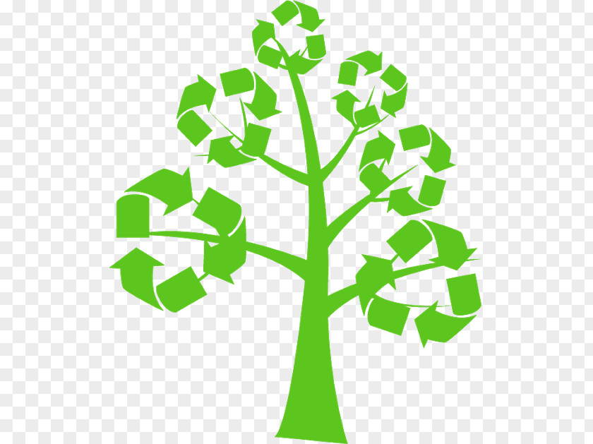 Business Environmentally Friendly Public Libraries Going Green Recycling Waste PNG