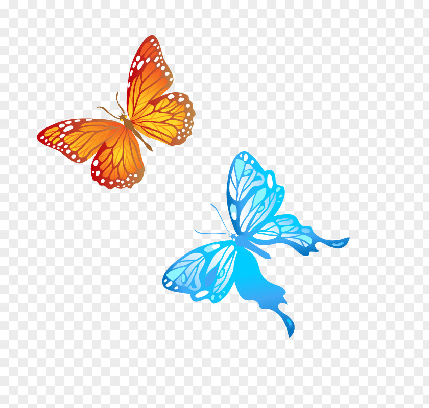 Butterfly Blue Computer File PNG