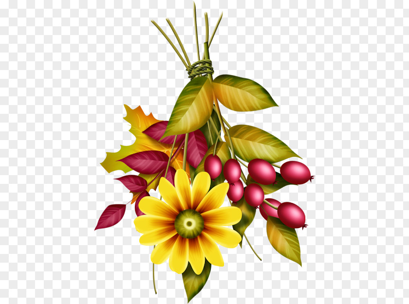 Herbaceous Plant Watercolor Paint Floral Background PNG