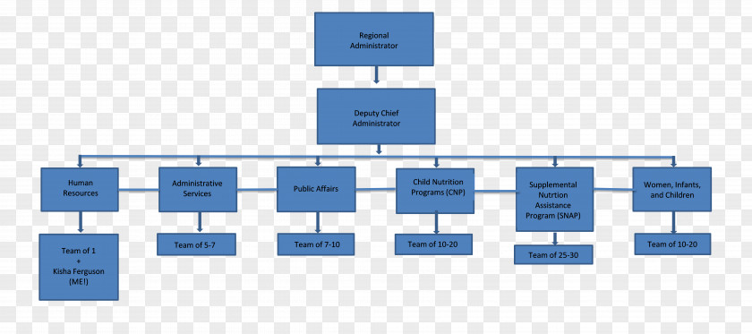 Organization Chart Organizational Food And Nutrition Service PNG
