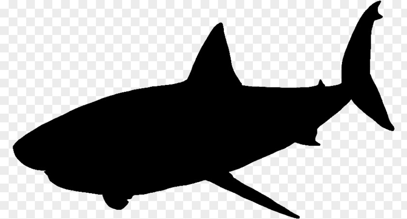 Baby Shark Silhouette Grandpa Great White Vector Graphics PNG