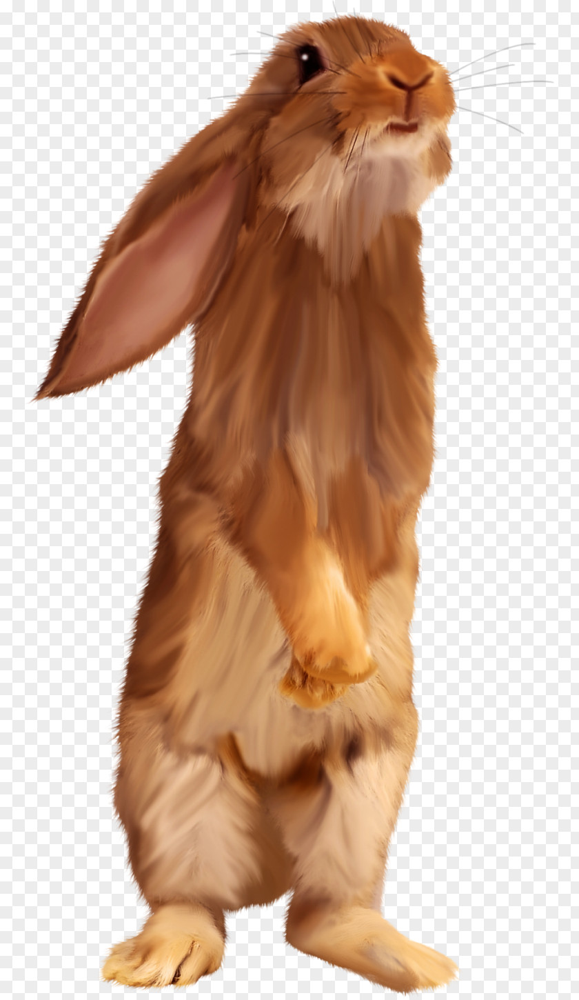 Brown Bunny Easter Rabbit Clip Art PNG