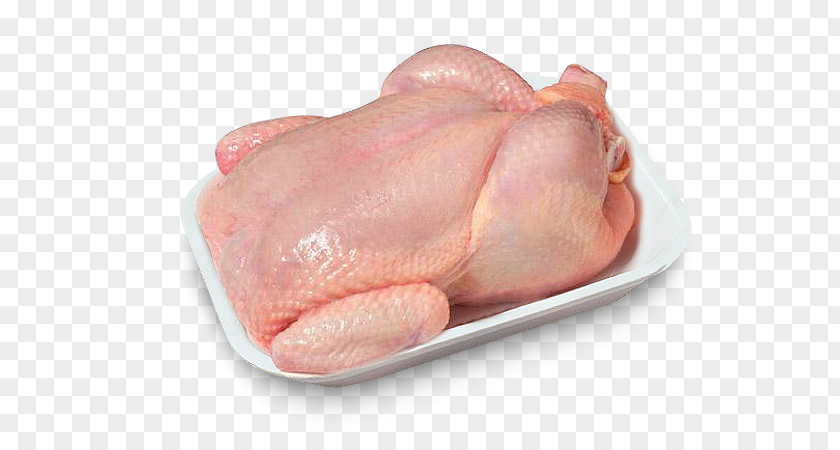 Chicken As Food Broiler Meat Domestic Duck PNG