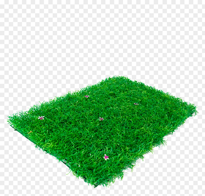 Gazon Lawn PNG