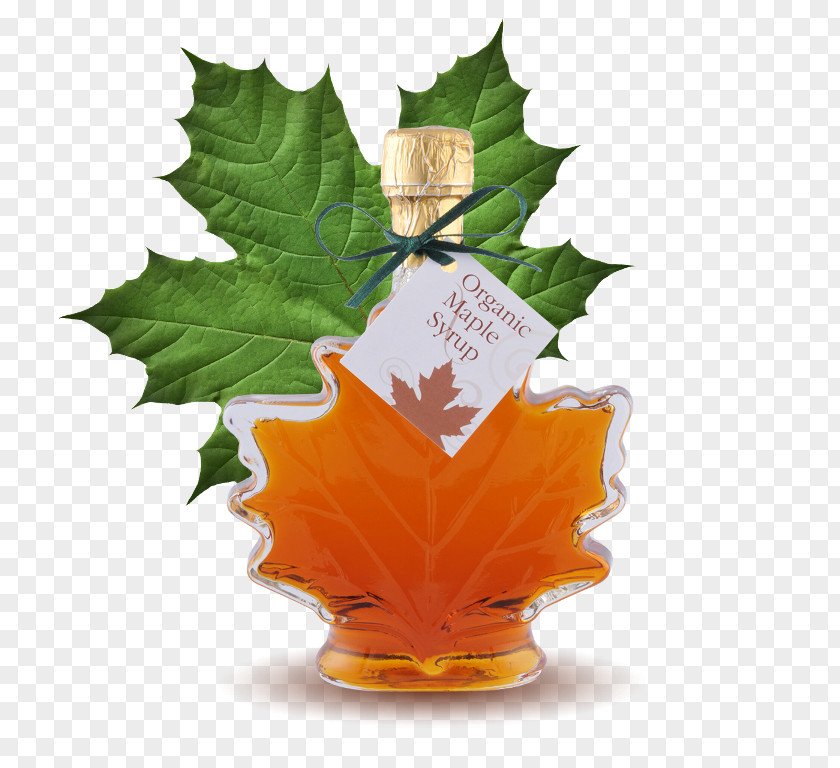 Leaf Maple Cream Cookies Syrup Canadian Cuisine PNG