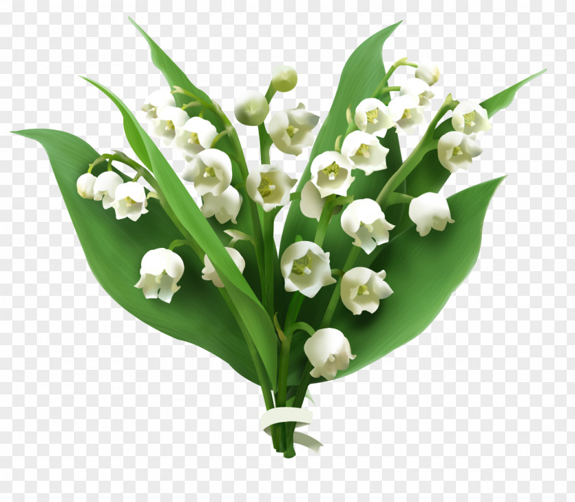 Lily Of The Valley Flower Computer Software PNG