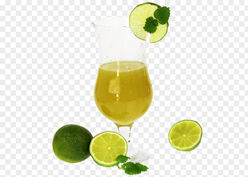 Lime Fruit Limeade Limonana Lemonade Cocktail Garnish PNG