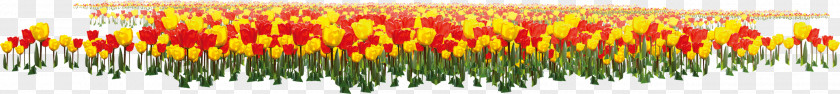 Tulip Anniversary Of The Founding Communist Party China U4e2du56fdu5171u4ea7u515au515au65d7u515au5fbd Flower PNG