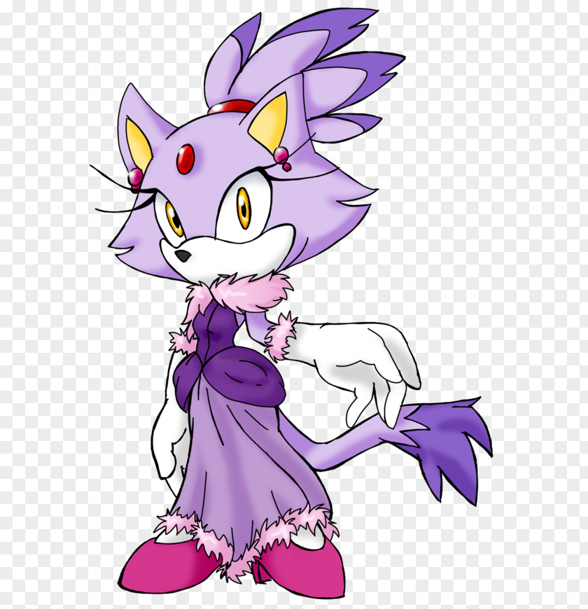 Blaze Sonic Dash Forces Heroes The Hedgehog Cat PNG