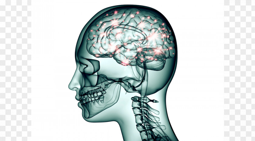 Brain Function Topiramate Neuron Neurology Nervous System PNG