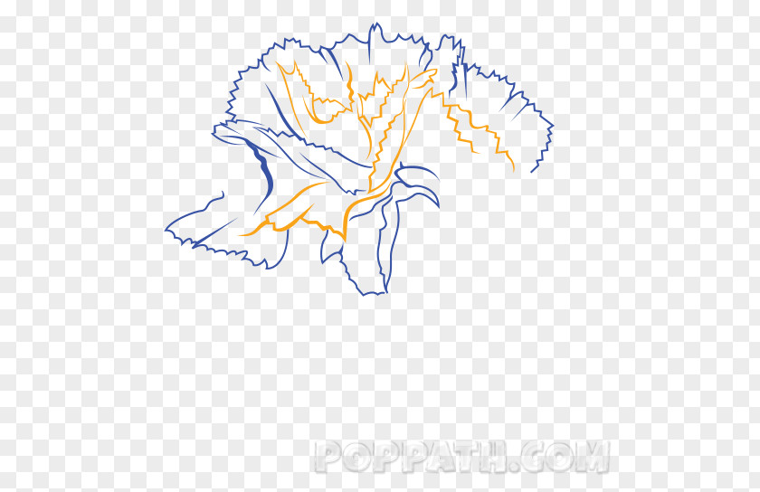 Carnation Flower Line Art Drawing Clip PNG
