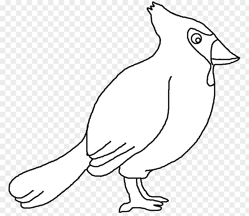 Chicken Cygnini Anatidae Water Bird Goose PNG