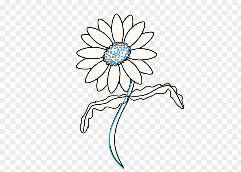 Common Daisy Floral Design Flowers Drawing PNG