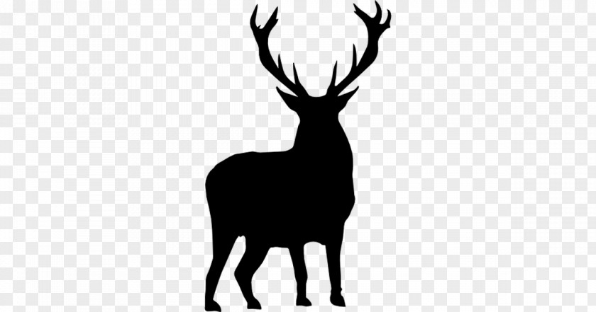 Deer White-tailed Moose Silhouette Clip Art PNG