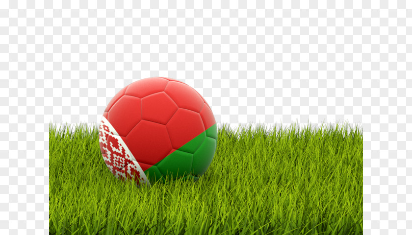 Football Grass Albania National Team Arabian Gulf Cup Sport PNG