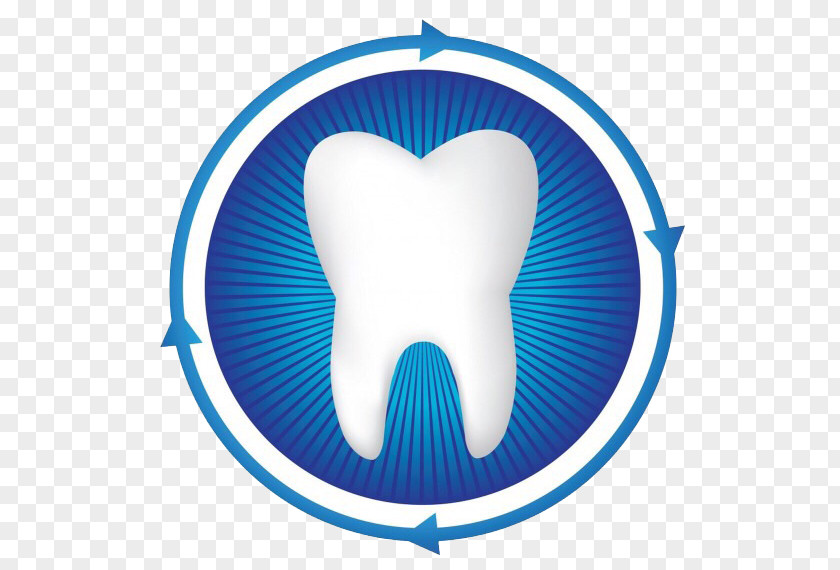 Health Dentistry Human Tooth Periodontology PNG