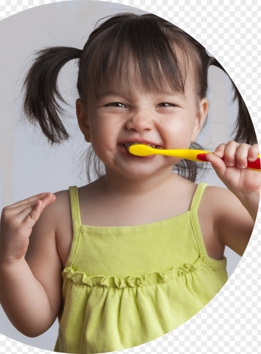 Healthy Teeth Tooth Brushing Pediatric Dentistry Child PNG