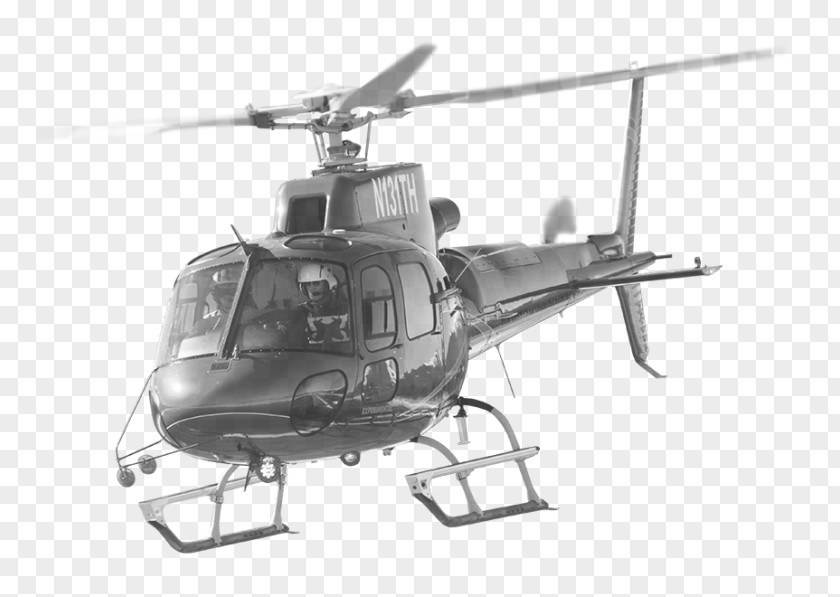 Helicopter Rotor Bell 212 Military Flight PNG