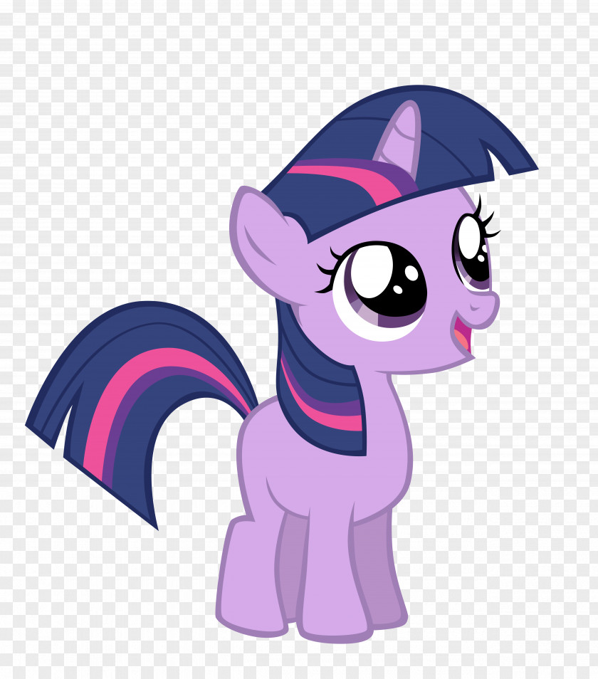 My Little Pony Twilight Sparkle Spike Rarity Rainbow Dash PNG