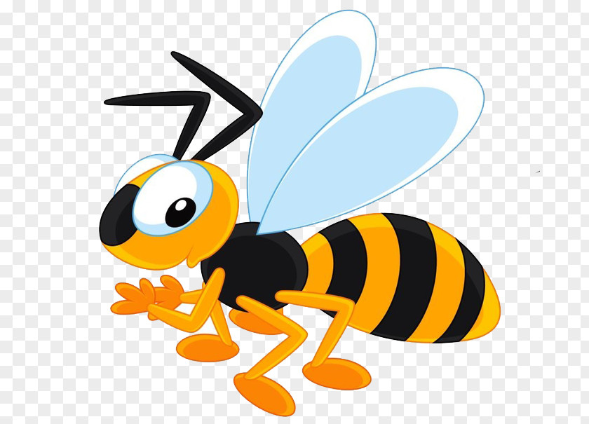 Bee Hornet Clip Art Vector Graphics Illustration PNG